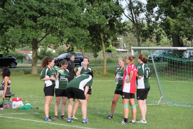 2017_07_11 Landesliga Frauen SV Schraudenbach - SpVgg Hambach